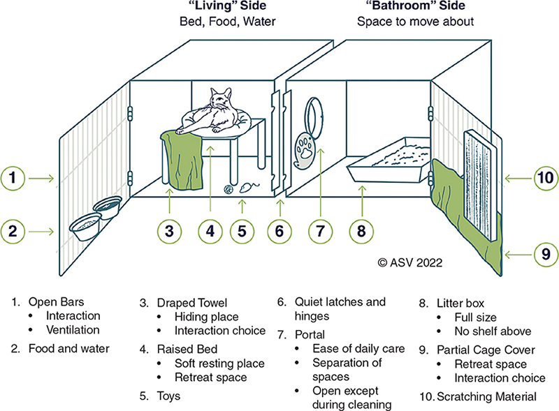 A double-sided enclosure with a cat resting on an elevated bed draped with a towel to create a hiding place, with food, water, and toys on one side of the enclosure. The doors of the enclosure include open bars for interaction and ventilation, a partial cage cover for retreat space and interaction choice, scratching material attached to the bars, and quiet latches and hinges. The living side is separated from the bathroom side by an open portal. The portal allows for ease of daily care, separation of spaces, and remains open except during cleaning. The bathroom side contains a full size litter box that is not covered by a shelf.