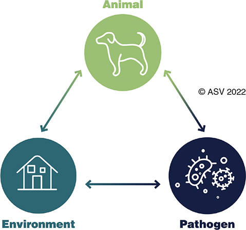 Disease transmission is impacted by interaction between the animal, the pathogen, and the environment, known as the epidemiological triangle.