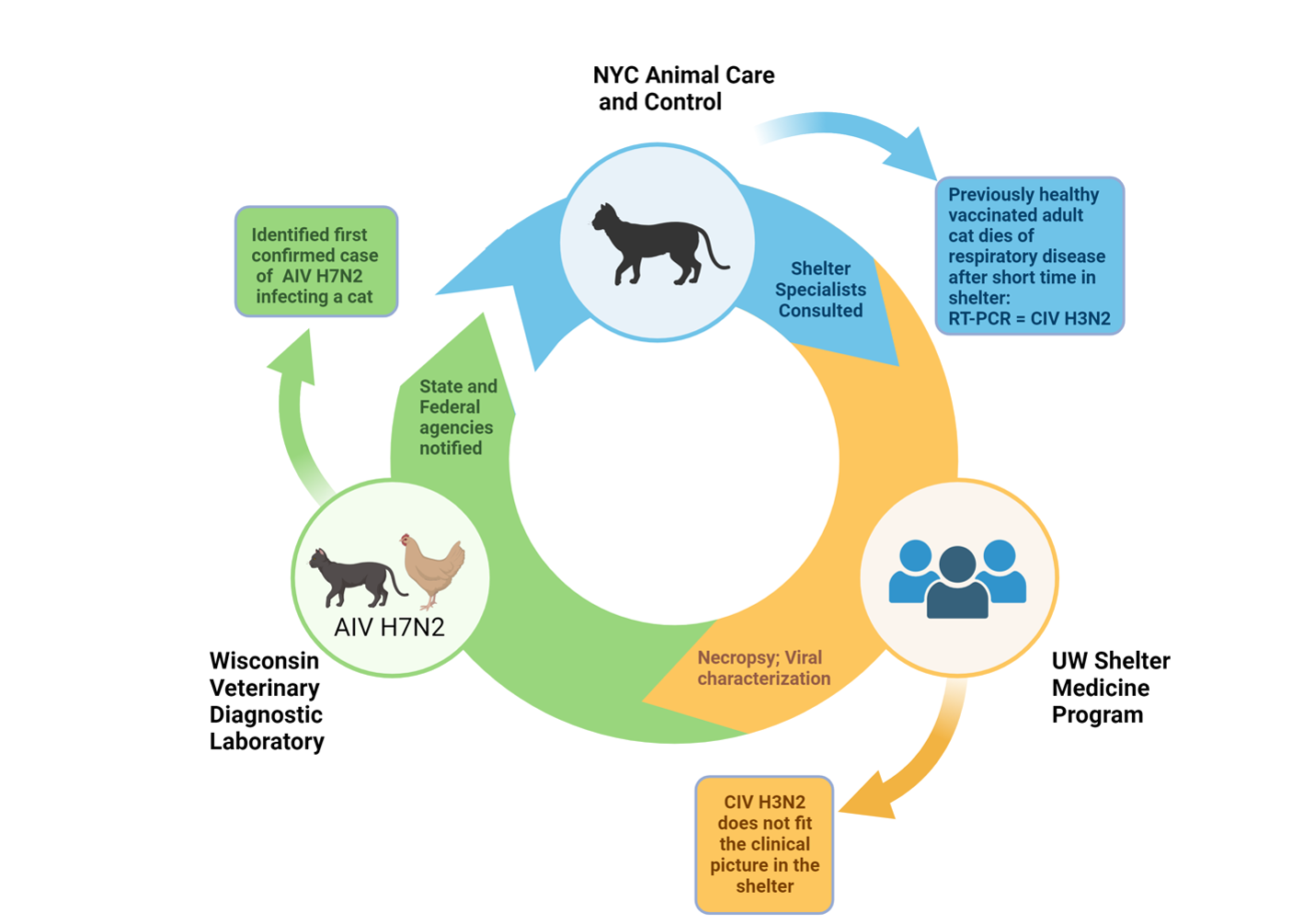 Graphical abstract