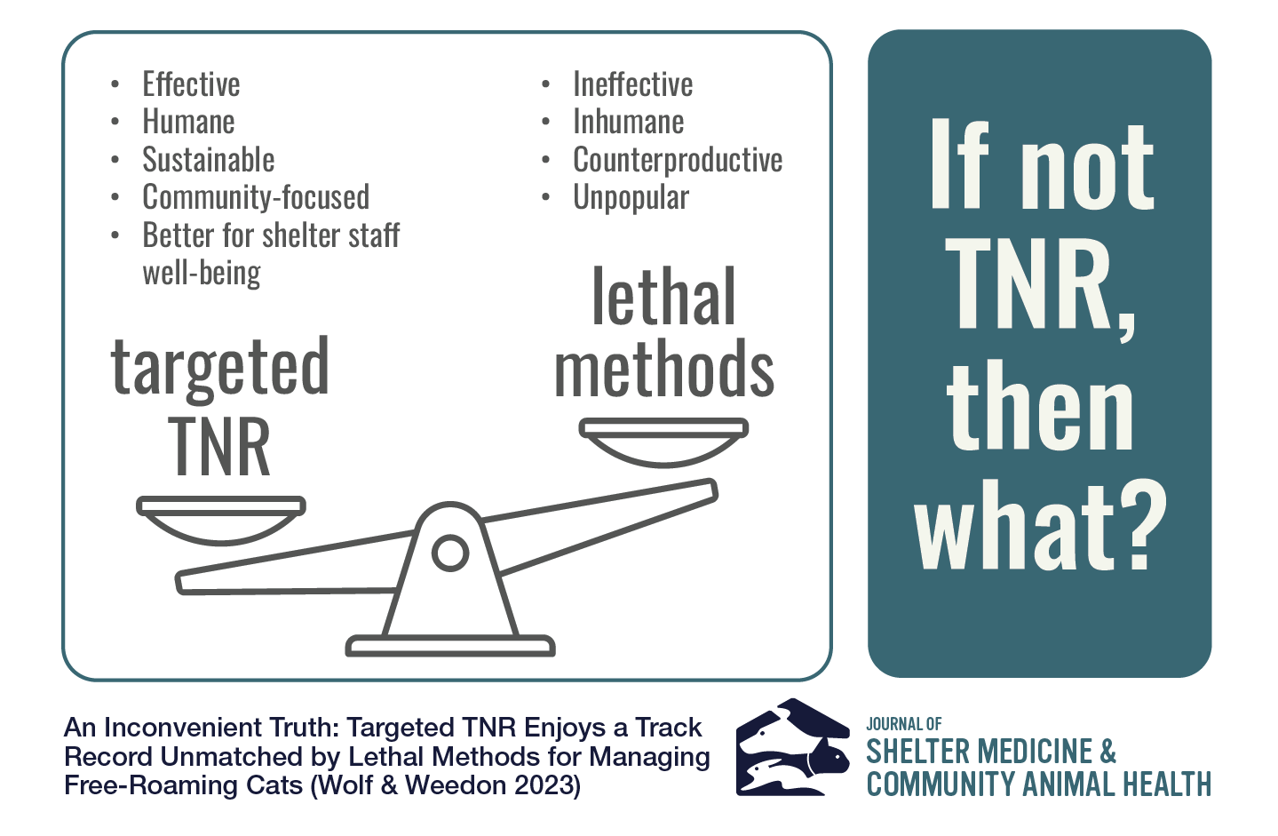 Graphical abstract