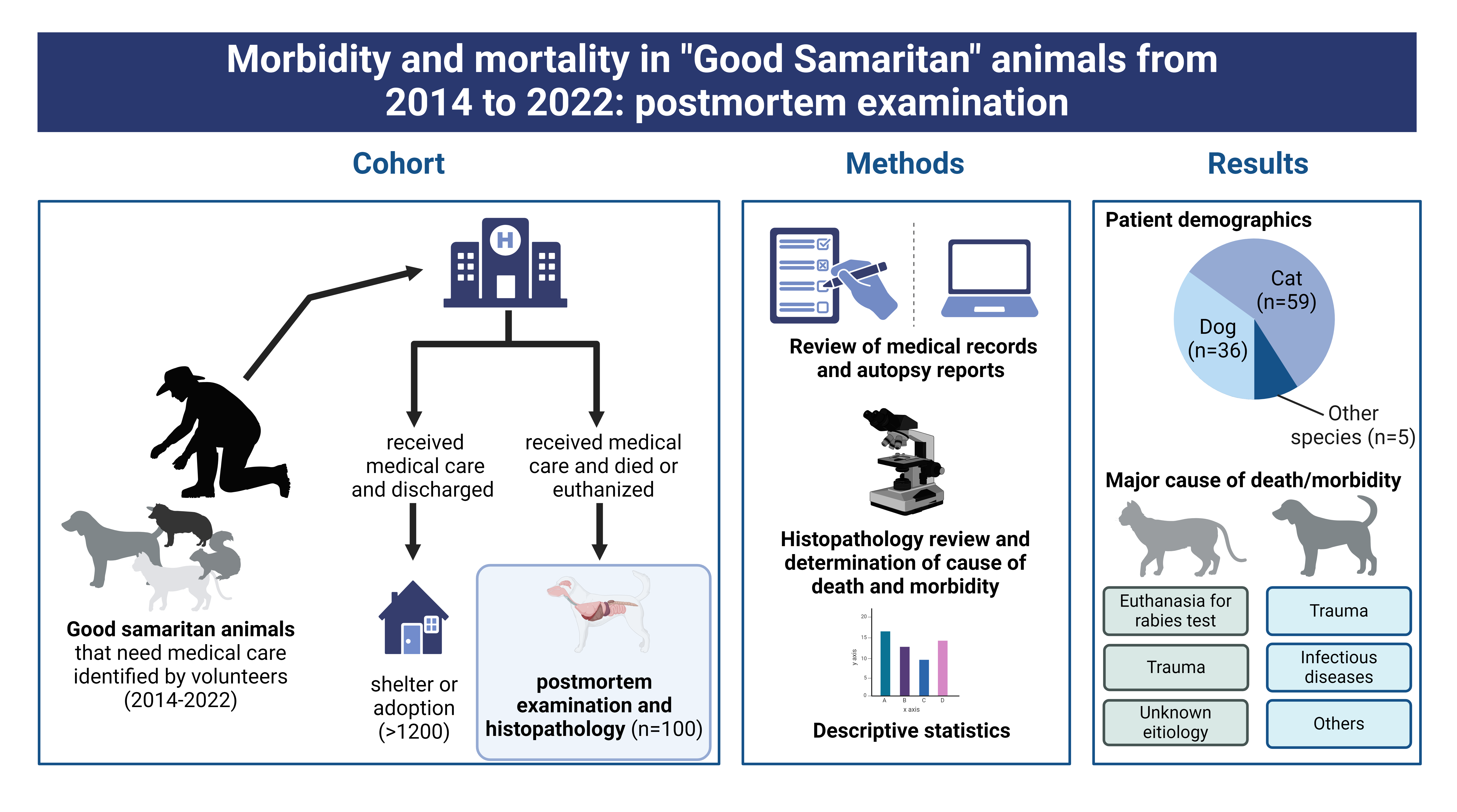 Graphical abstract