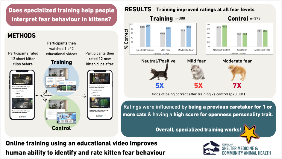 Graphical abstract